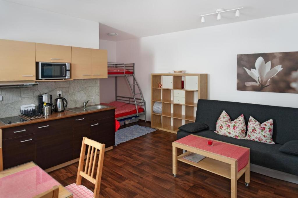 Apartment Apartmany Klinovec - Apartment Keilberg